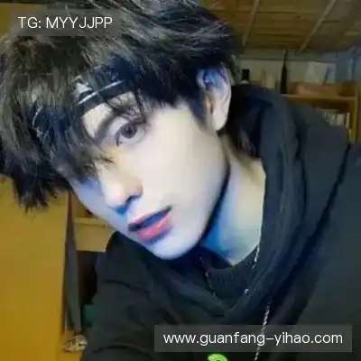 何鹰辉